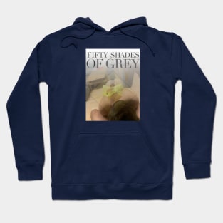Fifty Shades Parody Cover (Based and Redpilled) Hoodie